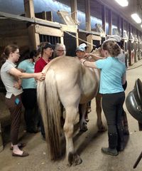 Saddle Fit Class