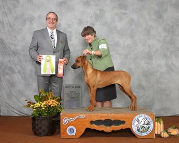 Maggie winning Best Puppy In Show Nov. 2017
