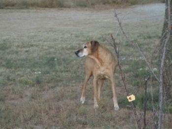 Anna on watch - Oct 2011
