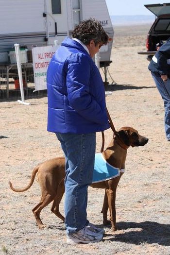 Kathleen with Emerald getting ready to lure course March 2010.
