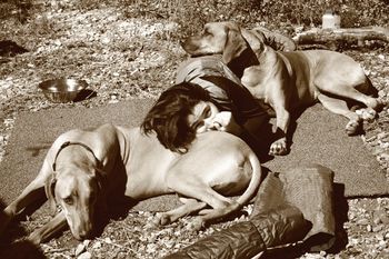 Jennifer, Graham & Bishop - Best Friends snoozing!
