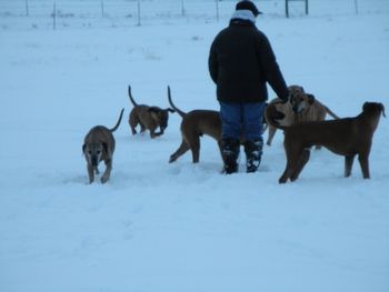 Bunny Hunting - Dec. 2010
