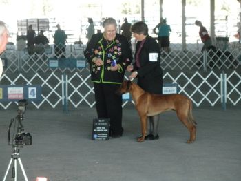 Winning BOW - El Paso, TX - Dec. 2010
