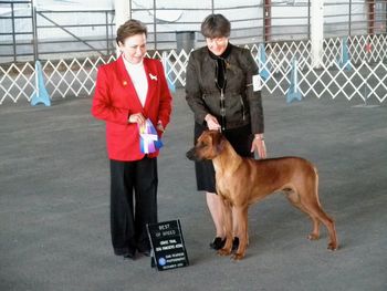 Winning BOB at 8 months of age - El Paso, TX, Dec. 2010
