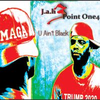 U Ain't Black by Jah 3.14