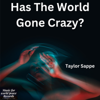 Has the world gone crazy by Taylor Sappe