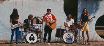 Sky Diving Penguins Video Still
