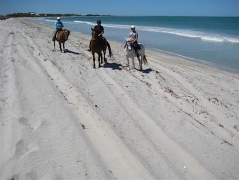 On the beach in Geraldton
