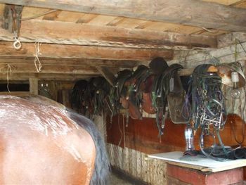 The saddles hanging up ready for day 3
