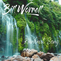 Rainforest Song by Bill Worrell