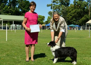 Racquet with her BOB Certificate at the Amenities Champ Show 26-04-15
