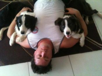 Turbo and Tilly with their human dad, Nathan having a cuddle.
