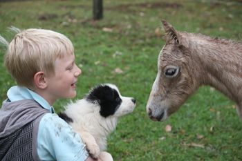 Harry with his new puppy Pippa introduding her to their brand new foal
