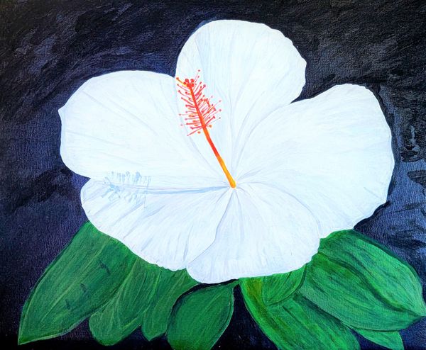 White Poinsettia - 8 x 10 Eco-Art Print by Paula Gilbert