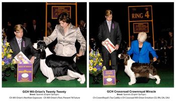 Titus BOB and Bloomie BOS at Westminster Kennel Club 2011 under judge Doug Johnson.

