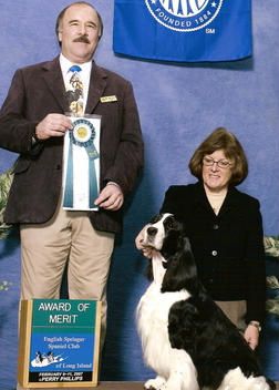 "EMMIE" CH. CROSSROAD WIL-ORION EMOTION CD, RN, OA, AXJ Emmie is pictured winning an Award of Merit from the 9-11 Veteran Bitch Class at the Garden Specialties in Feb. 2007.
