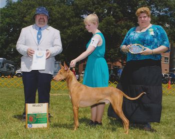 2014 PHCA EASTERN SPECIALTY Handled by Shelby Morawiec
