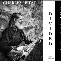 Divided Loyalties by Charles Priest