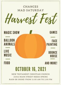 Mad Saturday Fall Festival hosted by CHANCES of Stone County