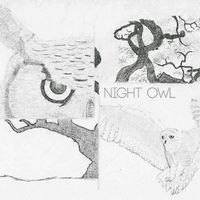 Night Owl by Mic Drew