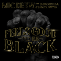 Feels Good To Be Black by Mic Drew