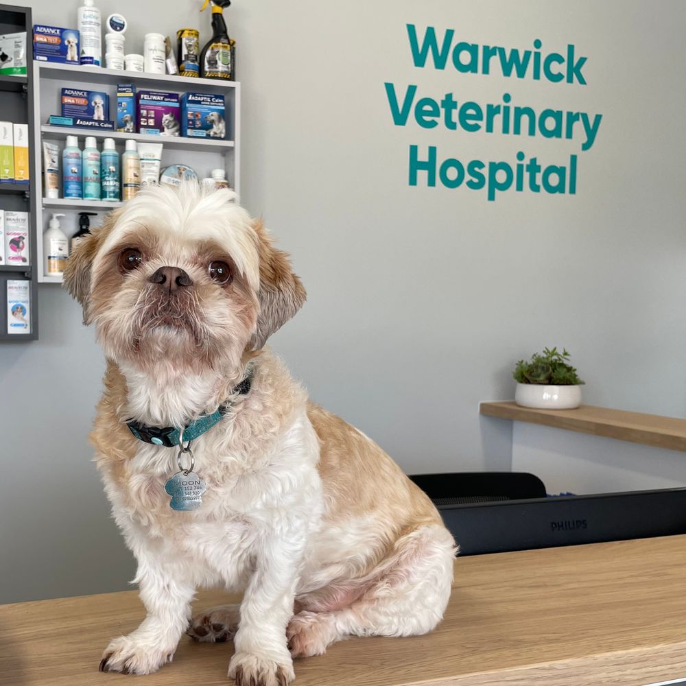 Warwick store veterinary clinic