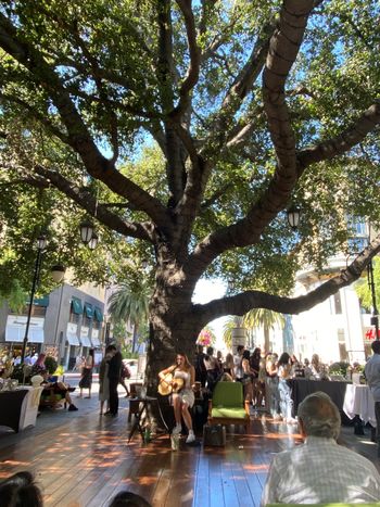Makers Market, Santana Row
