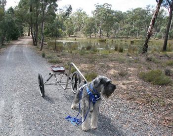 Wotan learning to cart
