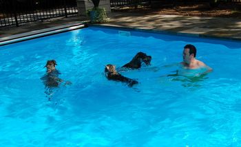 Tessa (middle) learns to swim
