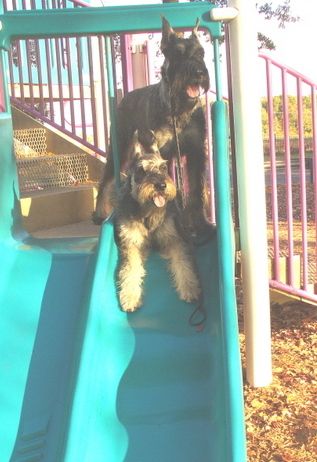 Hudson (top) and Jurnee love to play on the slide
