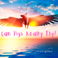 Can Pigs Really Fly? by jacob of the iWorldband