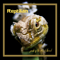 Reptilian / 13th Stepping  by jacob of the iWorldband