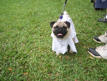 "Ghost" Saxten Shackelton (Shackie), 2007 Halloween Party. Quite frightening!
