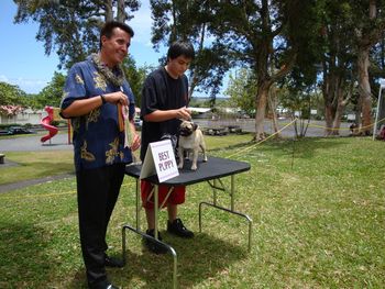 Hilo Summer Fun Match, 2008. Saxten Bonica Best Puppy in Show. Sweet Bonnie! Thanks Brent!
