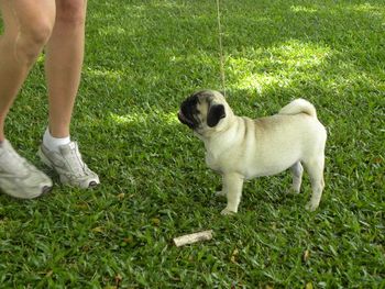 Jada at 3 months, training by Auntie Sarah.
