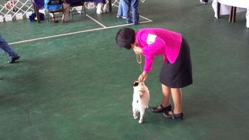 Pam Mizuno with Shackie on October 2, 2009
