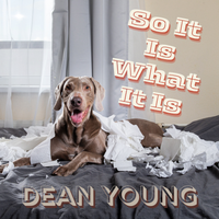 So It Is What It Is by Dean Young