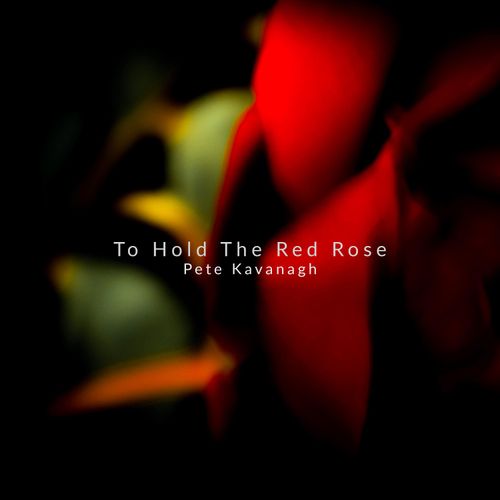 To Hold the Red Rose