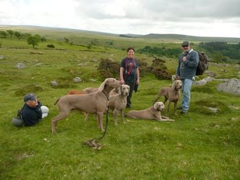 On the moors
