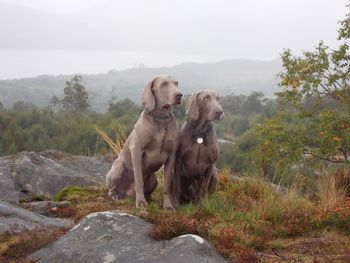 On holiday with my Dad.
