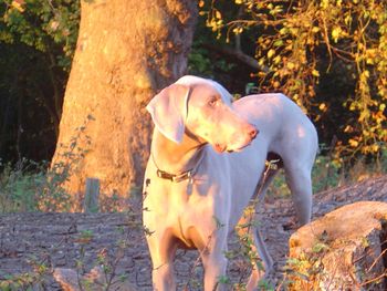 Enjoying the autumn sun
