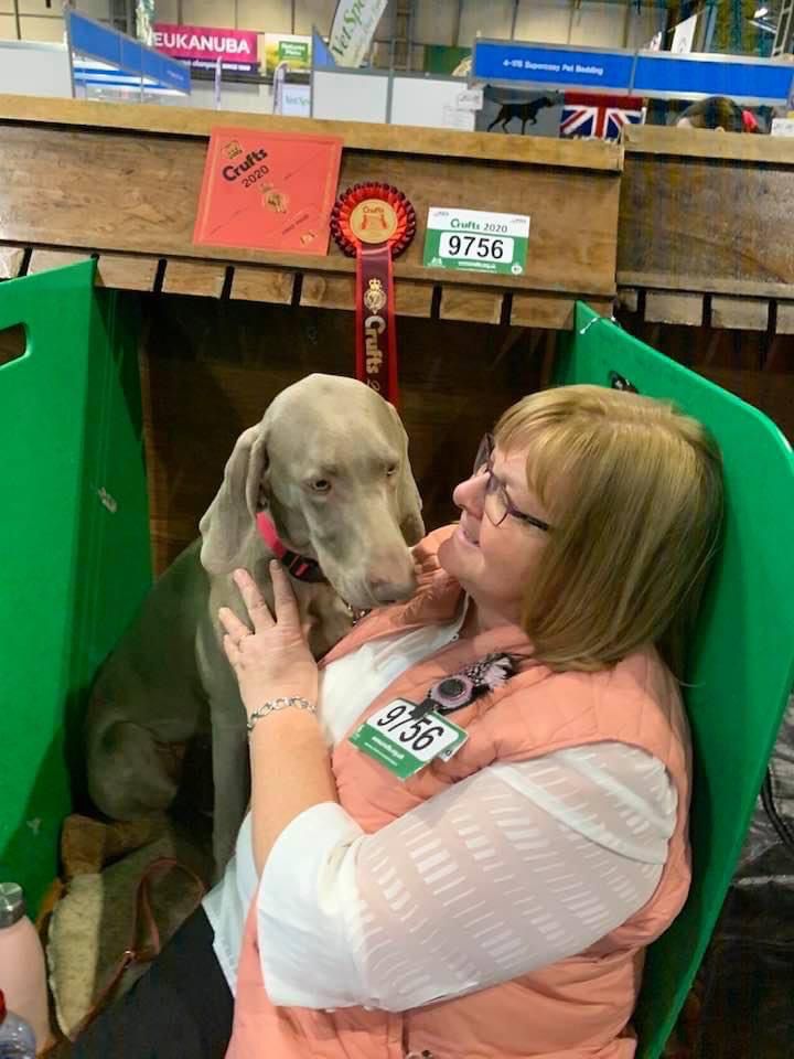 Eukanuba weimaraner outlet