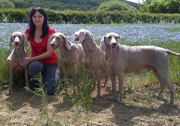 Carmen and her dogs may 2011
