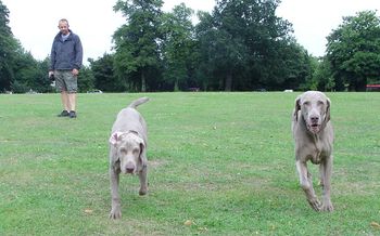 Martin, Tilly & Gus
