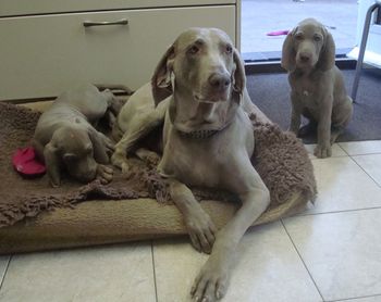 Nailah, Granny Coco & Casey
