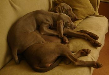 Ruby and mum
