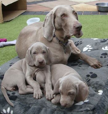 Tula and 2 of her girls
