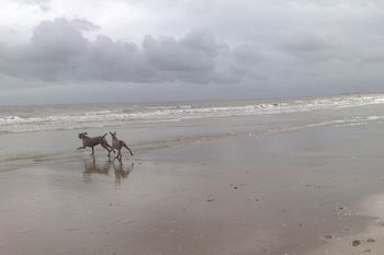 On the beach
