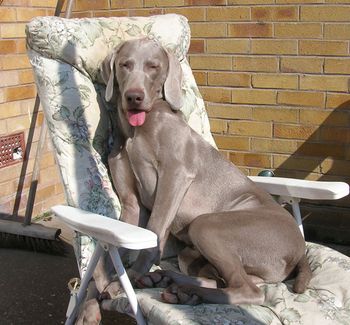 Enjoying the spring sunshine
