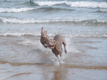 on the beach
